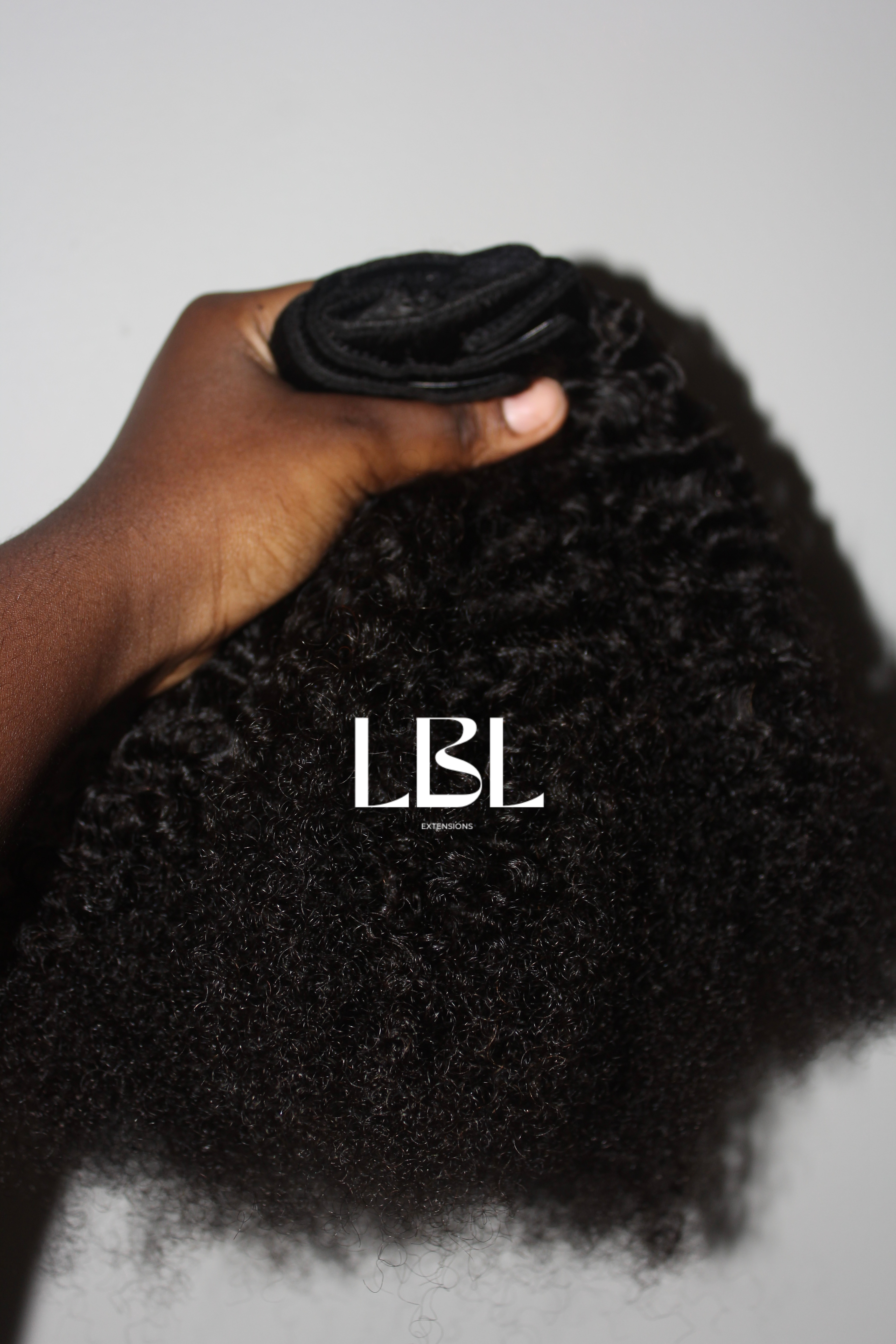 Traditional Clip Ins
