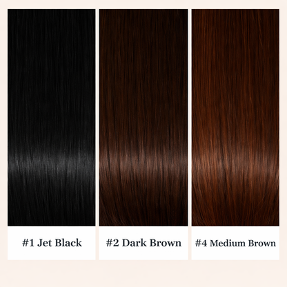 Toasted Blondie (Pre highlighted)